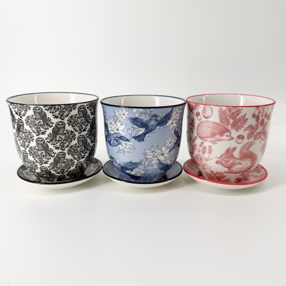 Set of 3 Chive Liberte Ceramic Succulent Pots w/Saucers Owl, Swallow, Squirrel